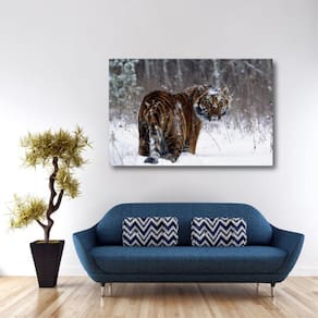 Quadro Tigre Paisagem Natureza decorativo Tela em Tecido