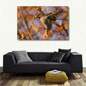Quadro decorativo Pássaro Paisagem - Tela em Tecido