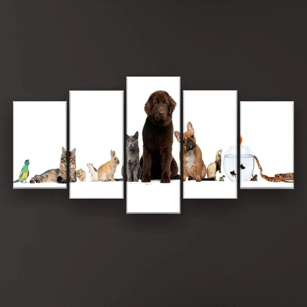 Quadro Decorativo Fila Paralela Pets 129x61 Sala Quarto
