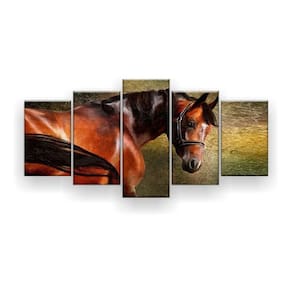 Quadro Decorativo Pintura Cavalo Marrom P. 129x61 Kit 5 Pcs