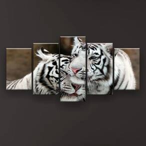 Quadro Decorativo Tigres Brancos 129x61 Sala Quarto