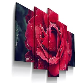 Quadros Decorativo Rosa Vermelho Botanico Sala