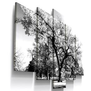 Quadros Decorativos Arvore Preto Branco Botanico