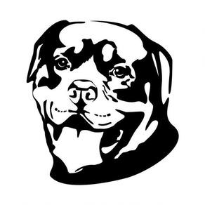 Quadro Decorativo Fabricado Em Aço Modelo Rottweiler Preto