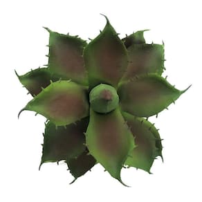 Suculenta Decorativa Artificial Plantas 14X12Cm
