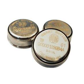 IButton para Vigia Bastão