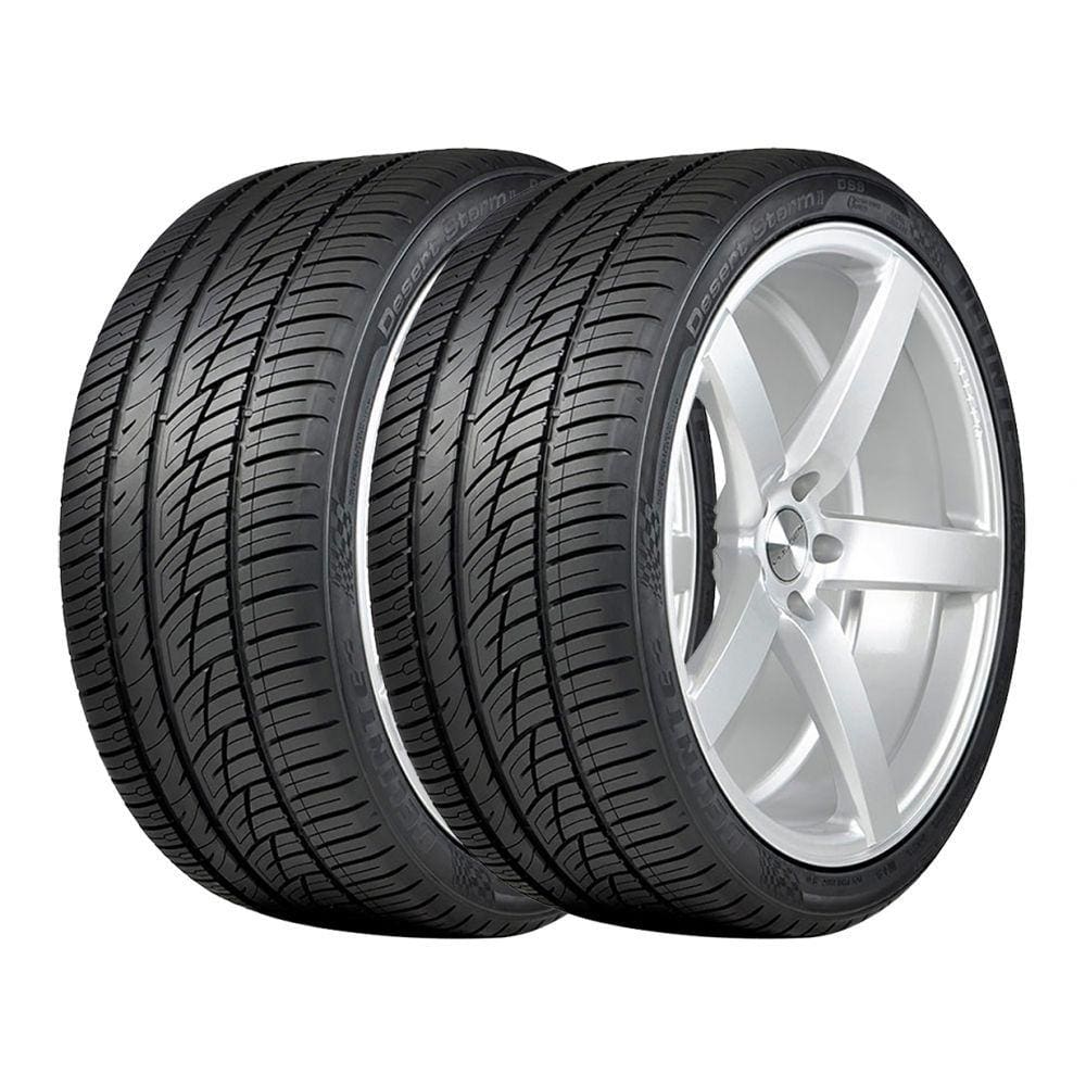 Kit 2 Pneus Delinte Aro 20 215/30R20 Desert Storm 2 DS8 82W