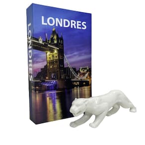 Conjunto decoração livro Londres + escultura Pantera branca