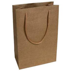 Kit 100 Sacolas Papel Kraft Presente 25X17X6Cm Bolsa Festa