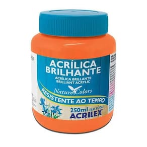 Tinta Acrílica Brilhante Laranja 517 (250Ml.)