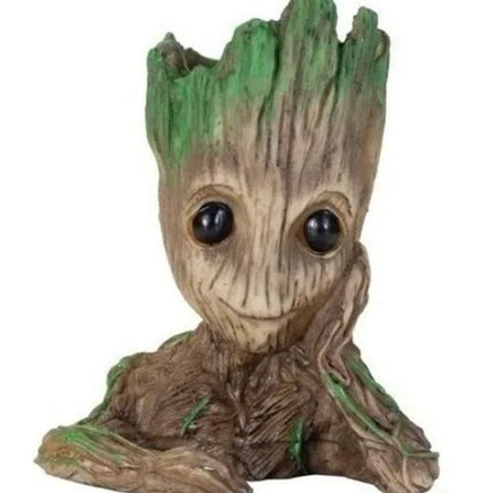 Vaso Groot Para Cactos E Suculentas