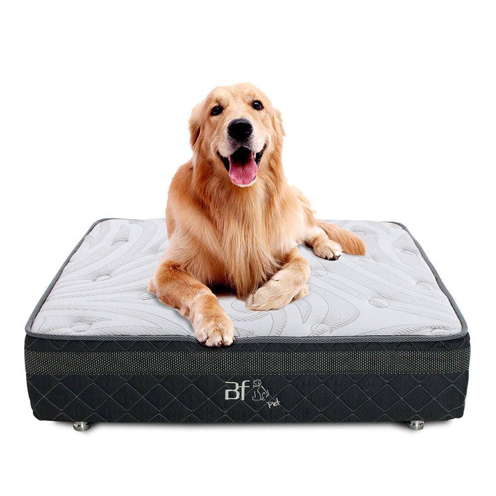 Cama Box Caminha Pet Para Cachorros e Gatos + Lençol Impermeável 100x100cm - Bf Colchões