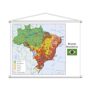 Banner Mapa Escolar Biomas Brasileiros Geografia 100X80Cm