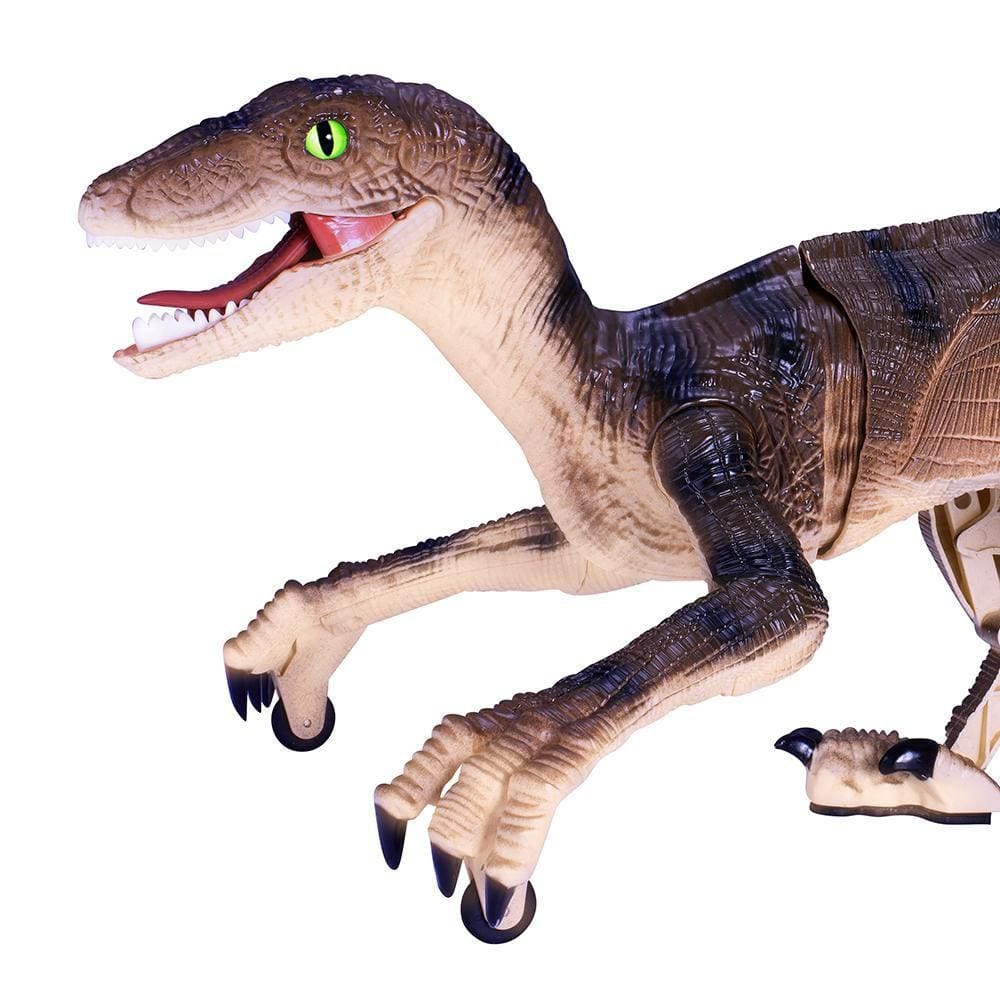 Dinossauro Rush Raptor