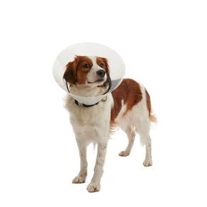 Colar Elizabetano Pet Para Cachorro Kruuse Buster Clic 20Cm