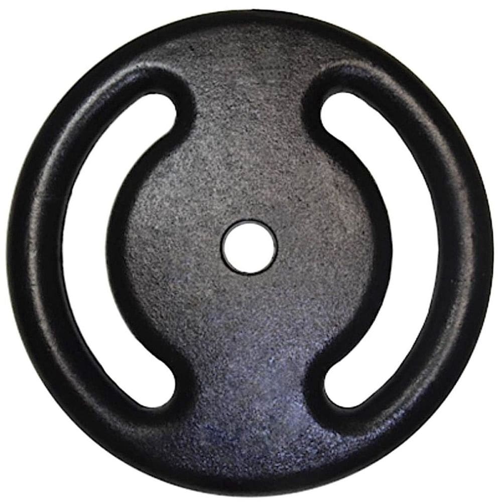 Anilha De Ferro Para Musculação Fitness 3kg