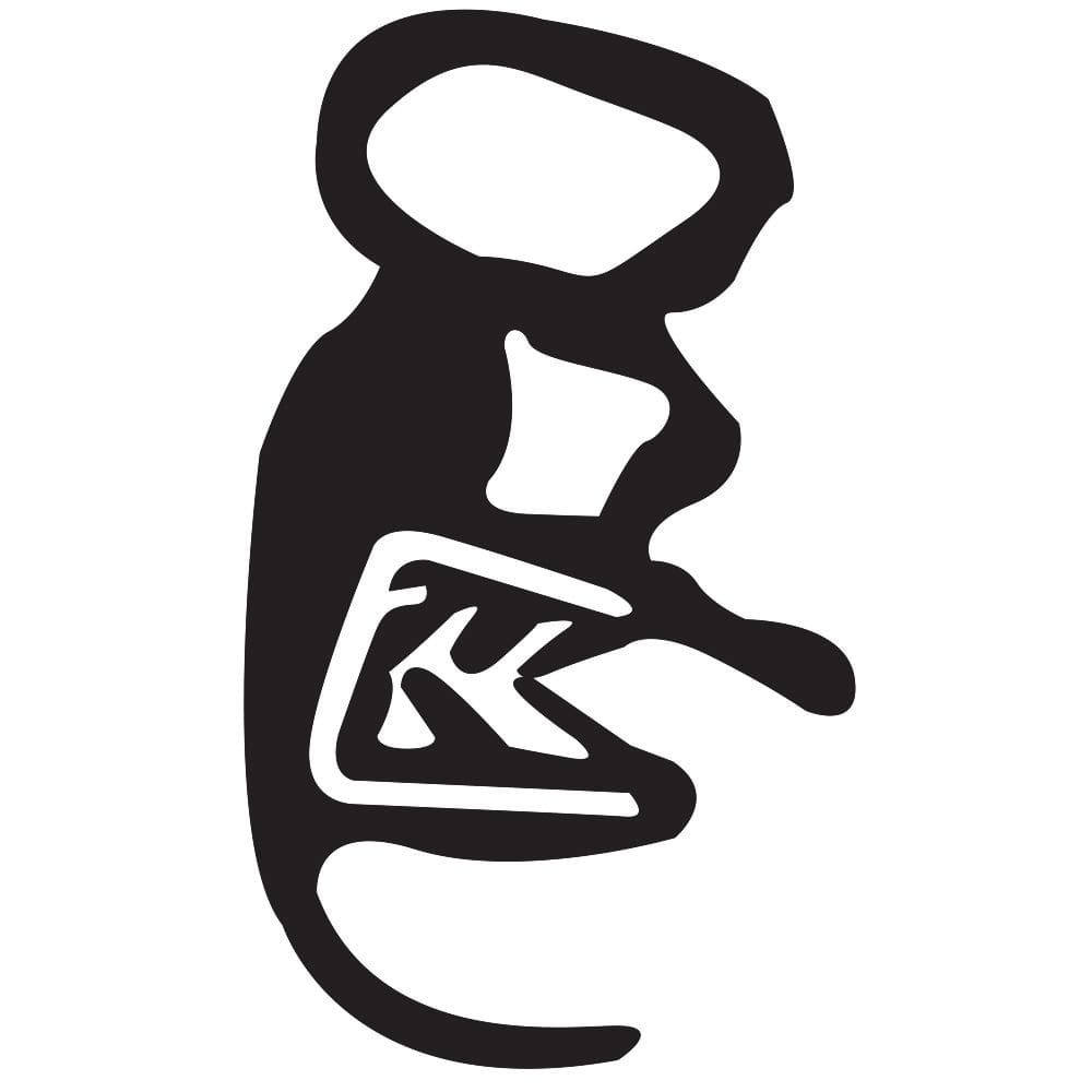 Borracha Da Porta Dianteira C3 C4 Após 2008