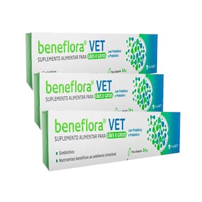 Kit 3 Unidades Para Cães E Gatos Beneflora Vet 14g