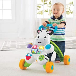 Apoiador Zebra com Luzes e Atividades - Fisher-Price