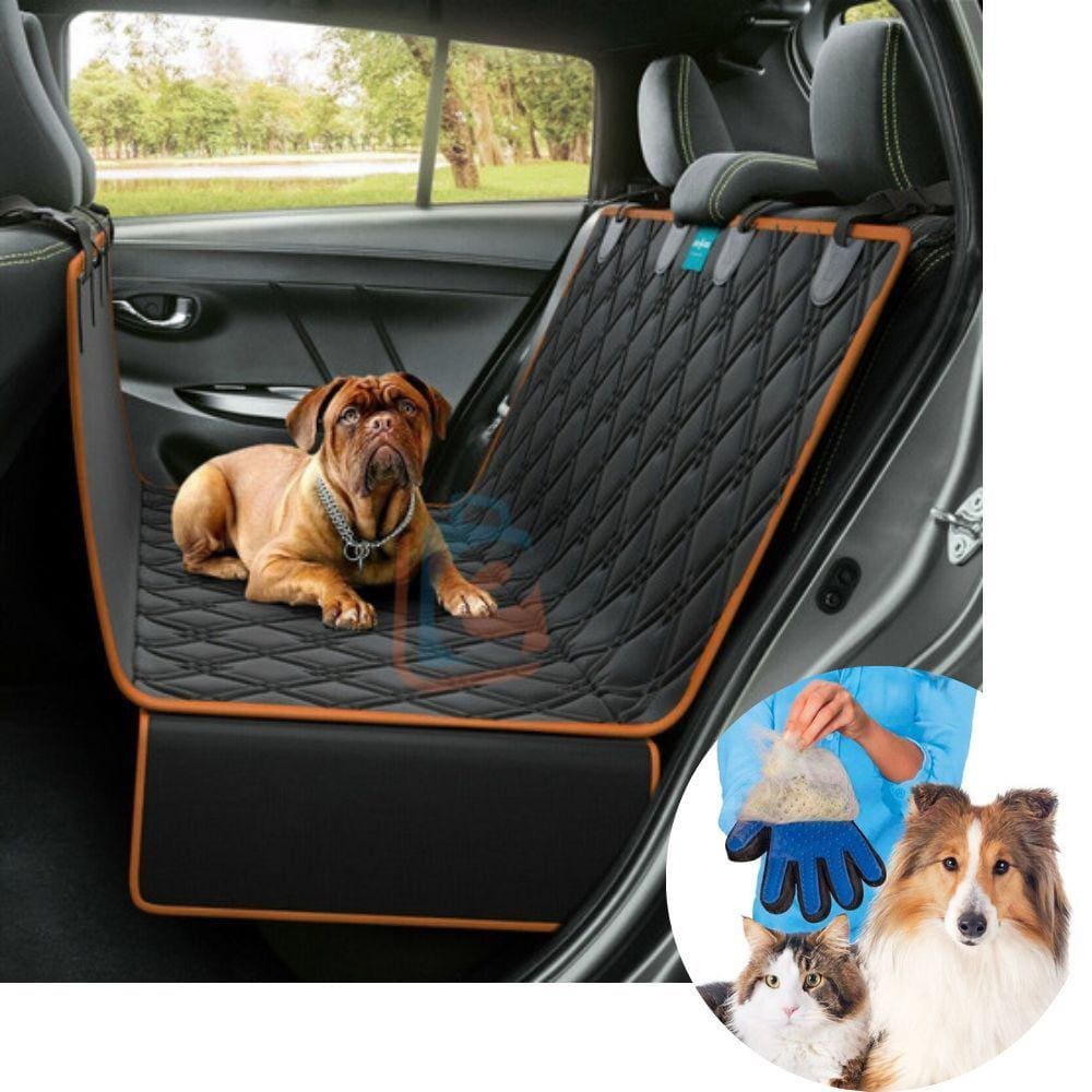 Kit Capa Pet Protetor Banco Traseiro Laranja e Luva Tira Pelo Cão Duke e Dixie