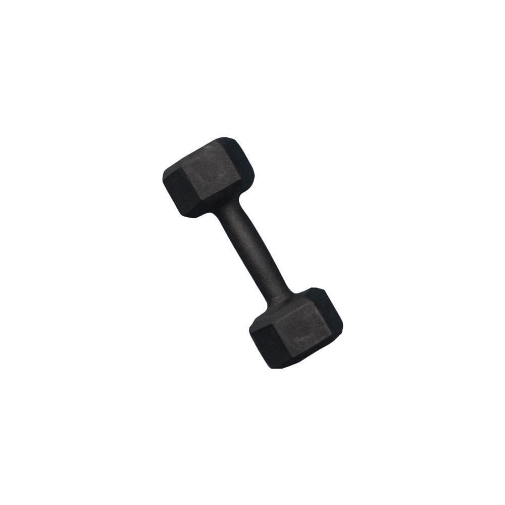 Halter Sextavado Pintado 3Kg Academia Treino Musculação