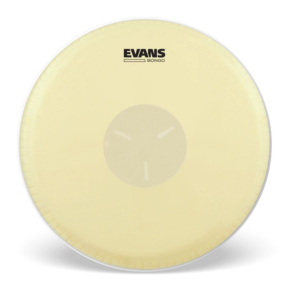 Pele Para Bongo 8 5/8 Evans EB09