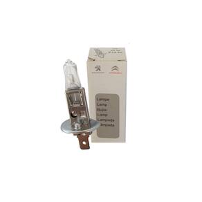 Peugeot 208 Lâmpada 12v Farol Dianteiro Novo