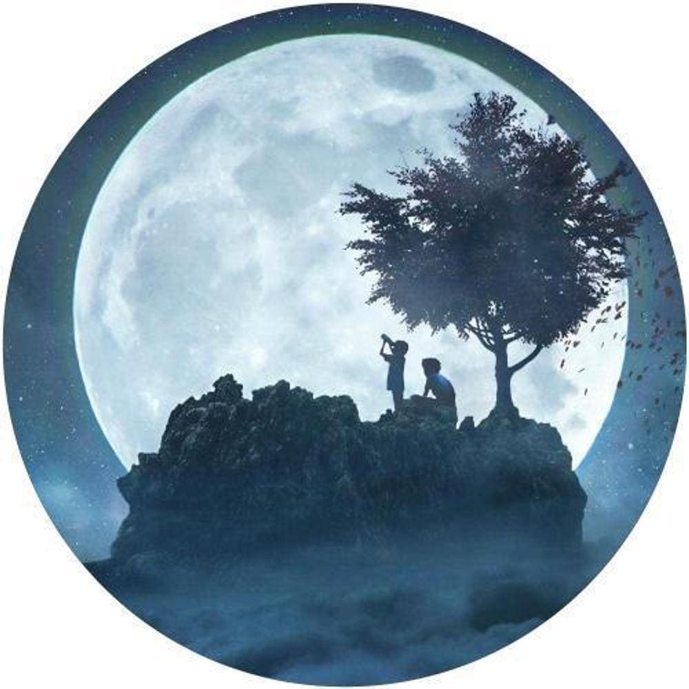 Capa De Estepe Ecosport Aircross Noite Lua