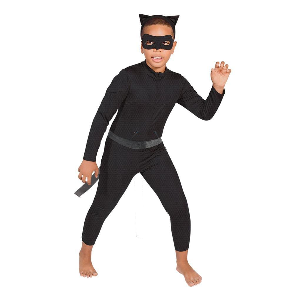 Cat Noir Png 