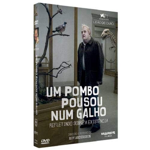 Um Pombo Pousou Num Galho Refletindo