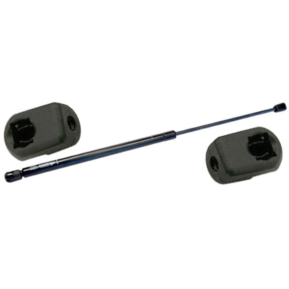 Amortecedor Mola Gás Tampa Porta-malas Tiguan Após 2009