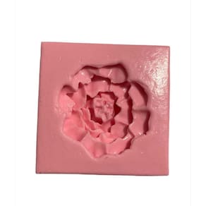 Molde De Silicone Flor/Suculenta