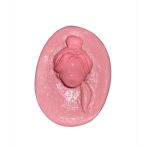 Molde De Silicone Rosto Bela, A Bela E A Fera