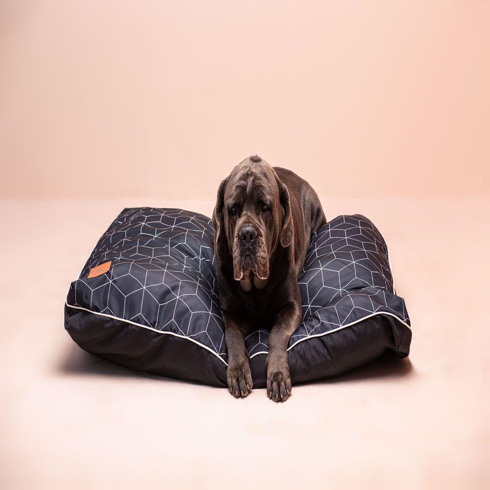 Cama Almofada Cachorro Extra Grande Lavável Capa Removível