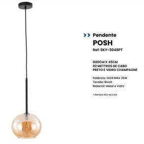 Pendente Posh Ø20cmx45 - Metal Preto E Vidro Transparente