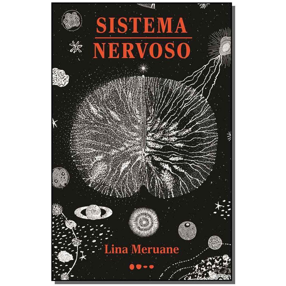 Sistema Nervoso Do Corpo Humano Casas Bahia