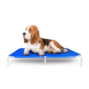 Cama Suspensa Mec Dreams Tamanho G Cor Azul Mec G