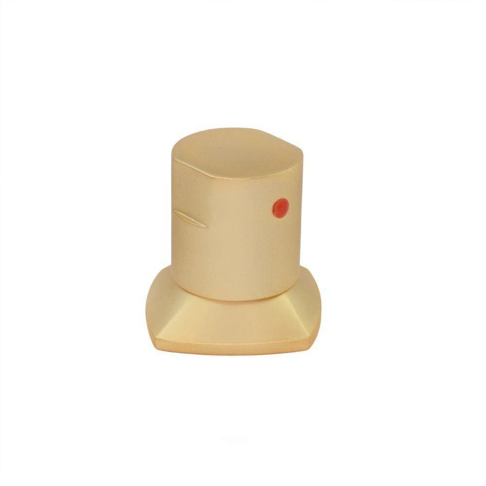 Acabamento Registro Dourado Ouro Fosco Encaixe Padrão
