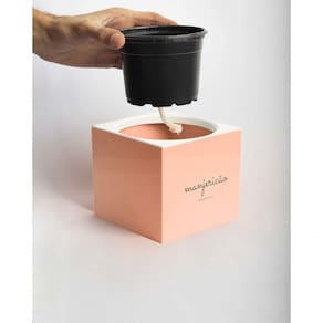 Vaso Quadrado Autoirrigável Rosa Salmão Kit Manjericão