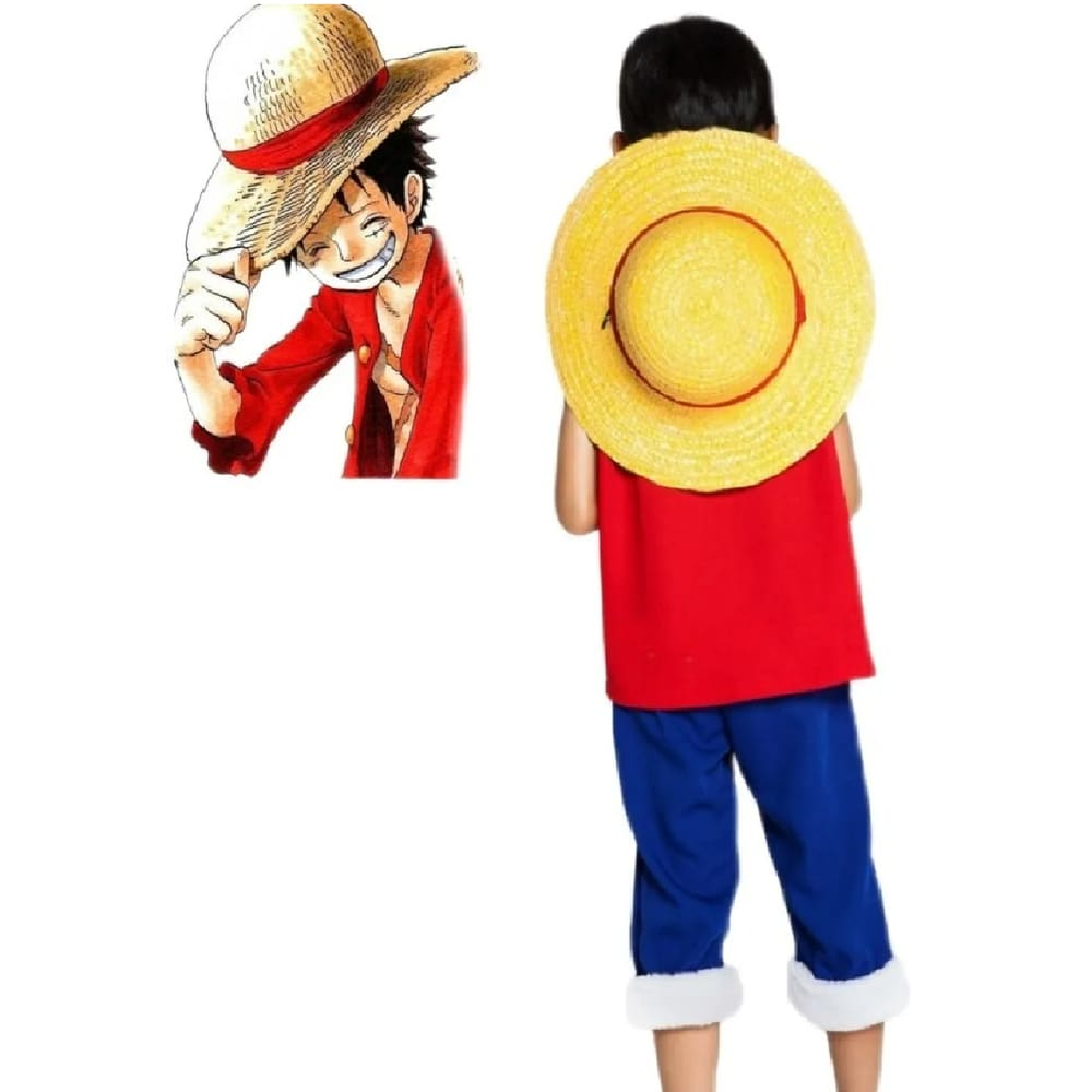 Roupa De Menino Cosplay Anime Kit Fantasia One Piece Luffy