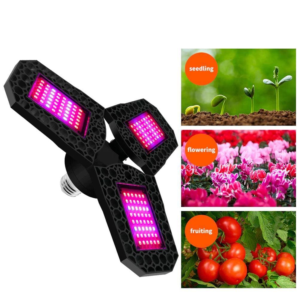 Luminárias Led Para Ajudar As Plantas Crescer - Hidropônica