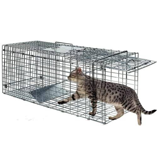 Live Animal Trap Cage Humane Cat | Casas Bahia Live Animal Trap Cage Humane Cat | Casas Bahia
