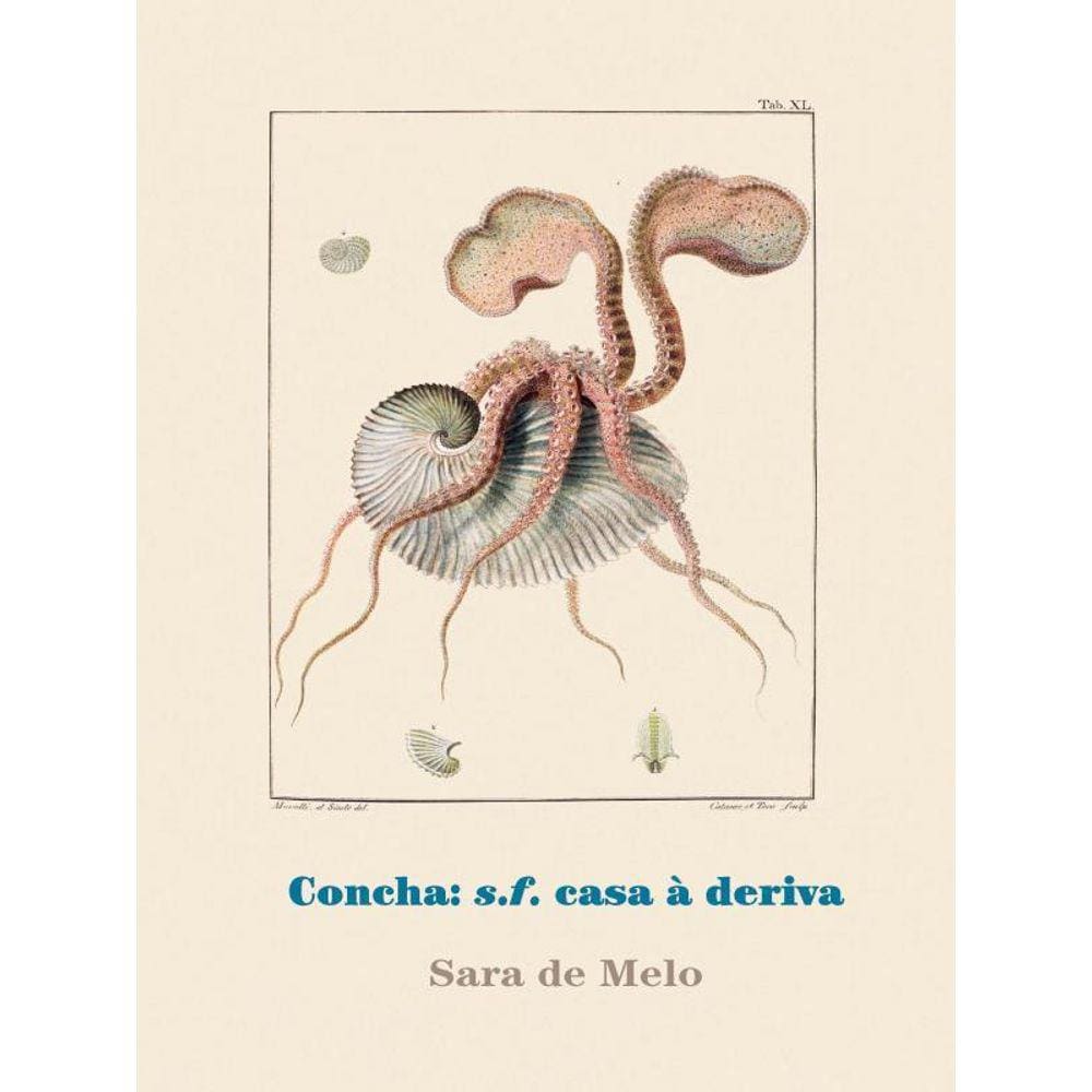 Concha S.F. Casa À Deriva