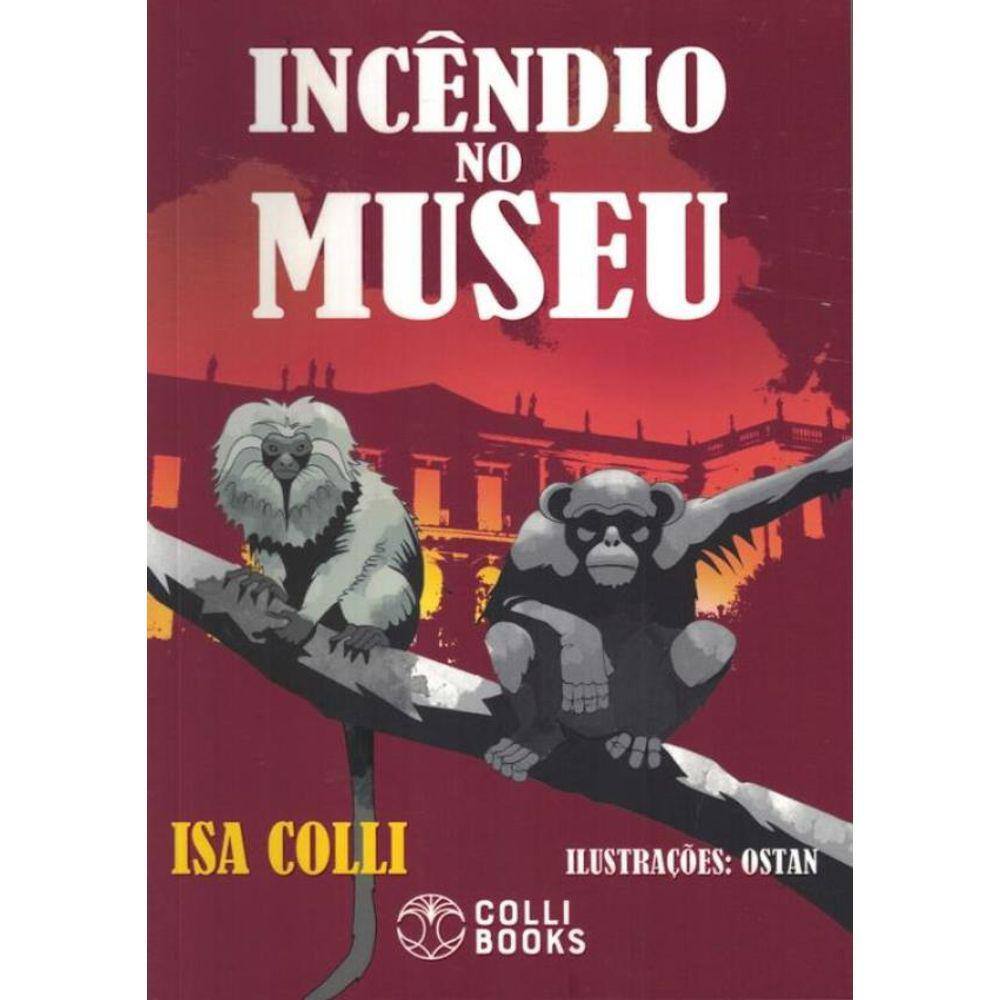 Incendio No Museu