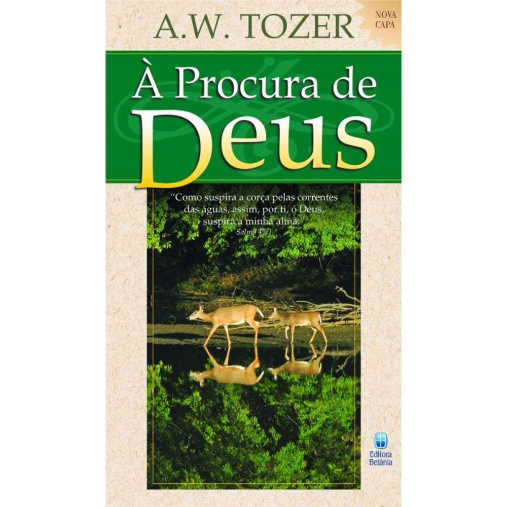 Procura De Deus, A 01