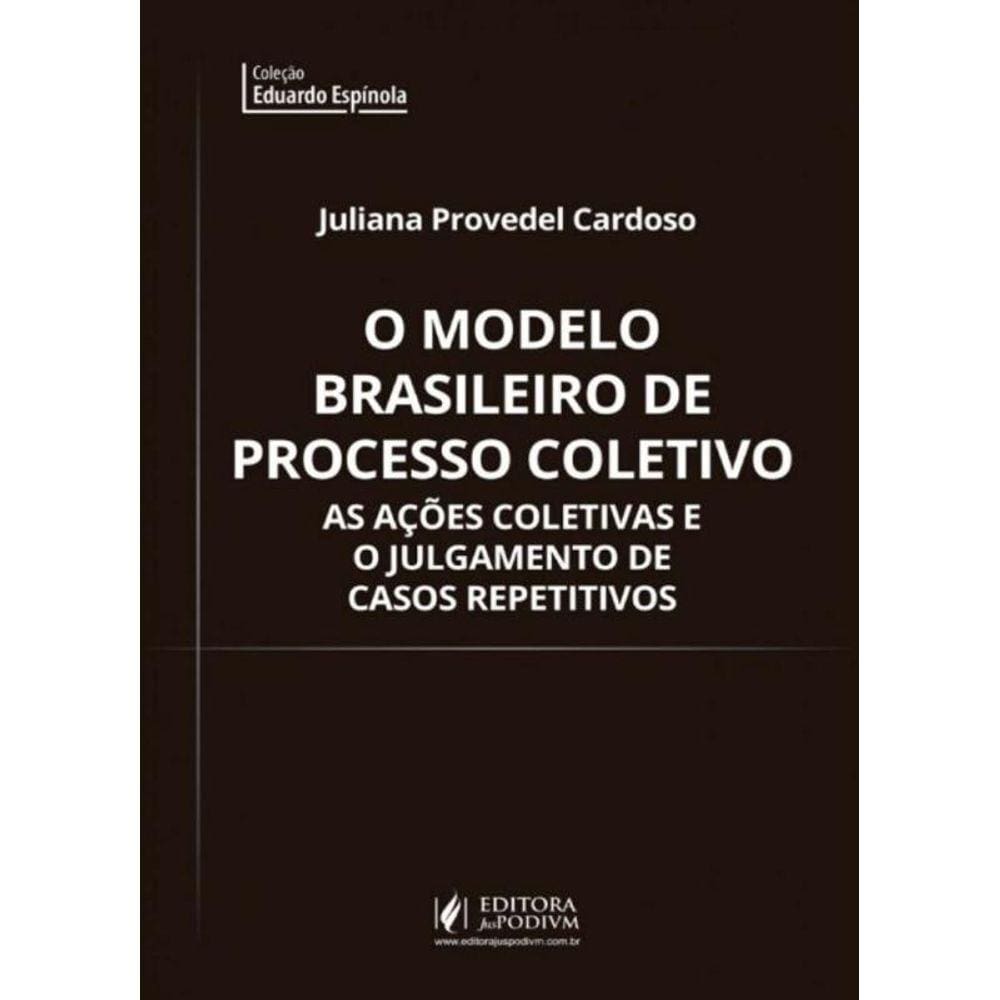 Modelo Brasileiro De Processo Coletivo, O
