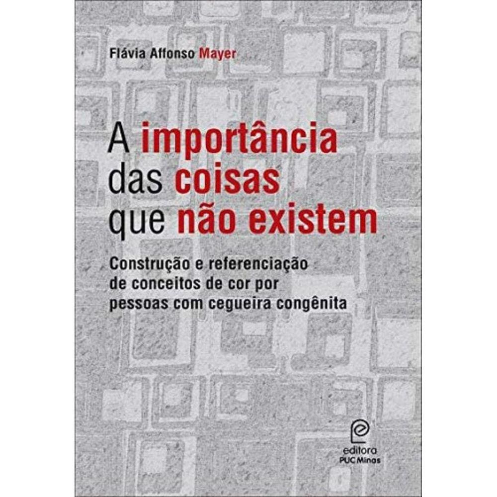 Importancia Das Coisas Que Nao Existem: Construcao