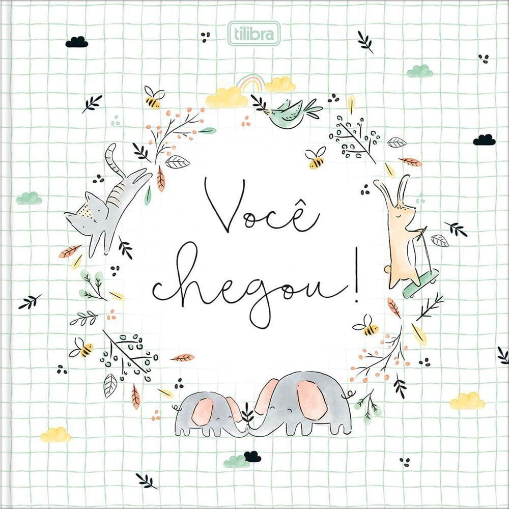 Diário Do Bebê: Você Chegou! Tilibra (Capa Dura) 124214
