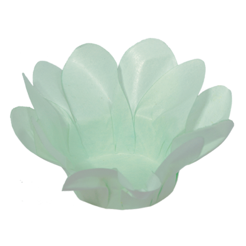 Forminha Lírio Menta 40 unidades