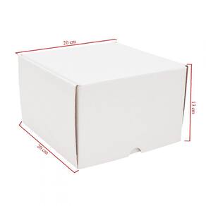 Caixa de Papelão Básica E Funda 50 Unidades Embalagens 20cm x 20cm x 13cm